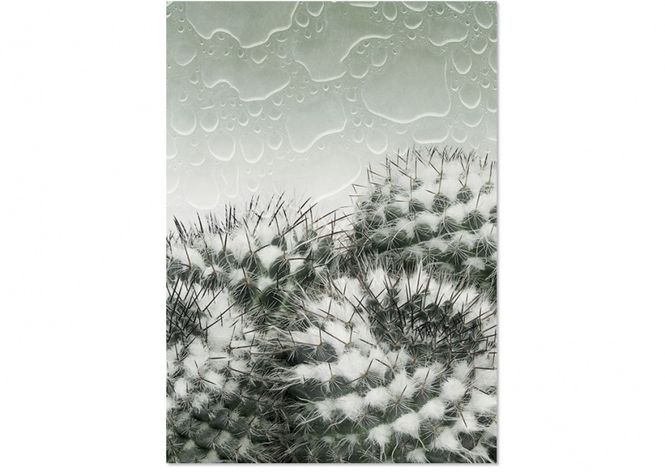 Hovedbilde ChiCura PhotoArt Conserve H2O ...